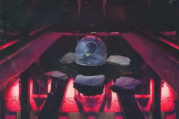 justice-page-nathalie-art