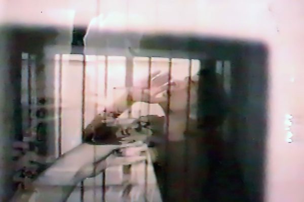 nathalie-barends-films-dest